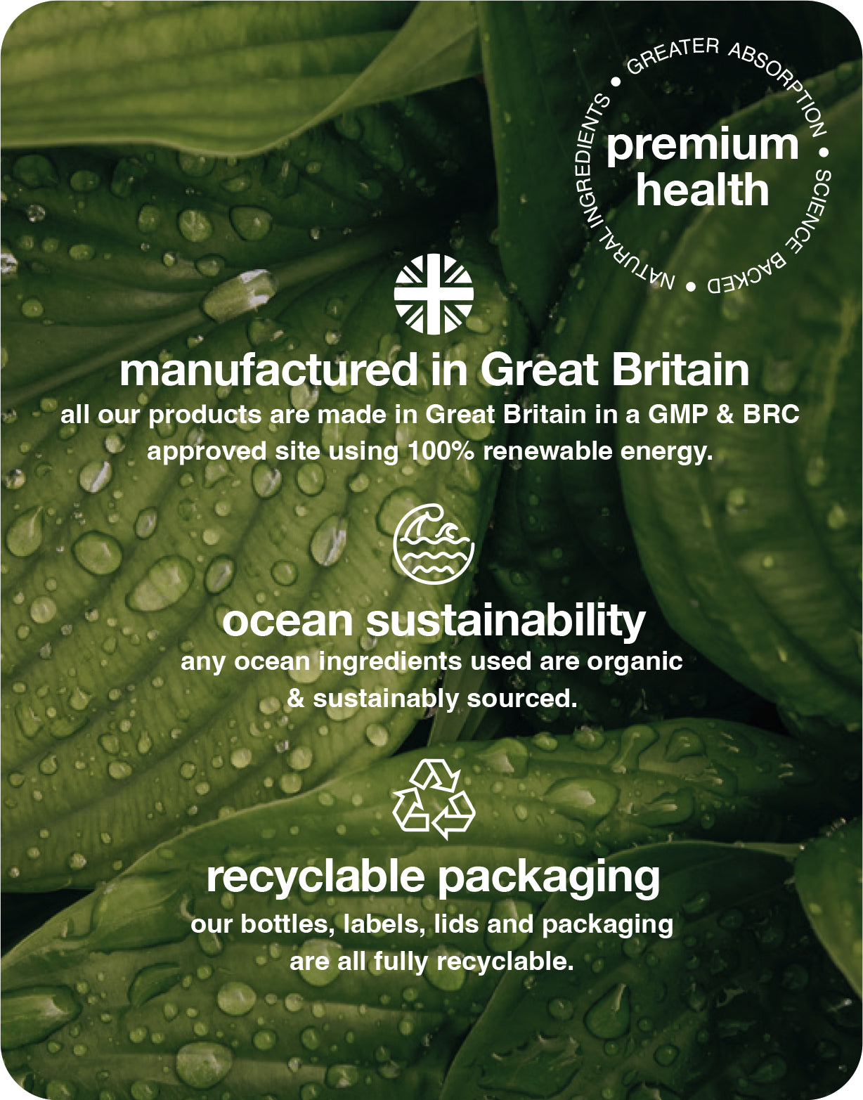 hair. skin. nails gummies