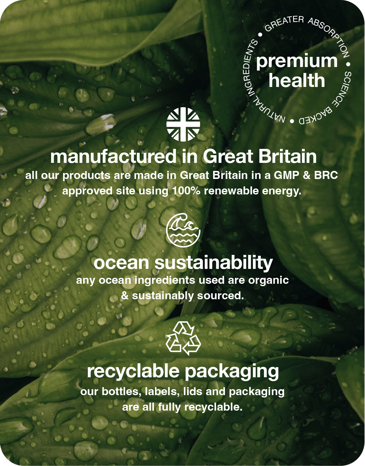 perimeno support gummies