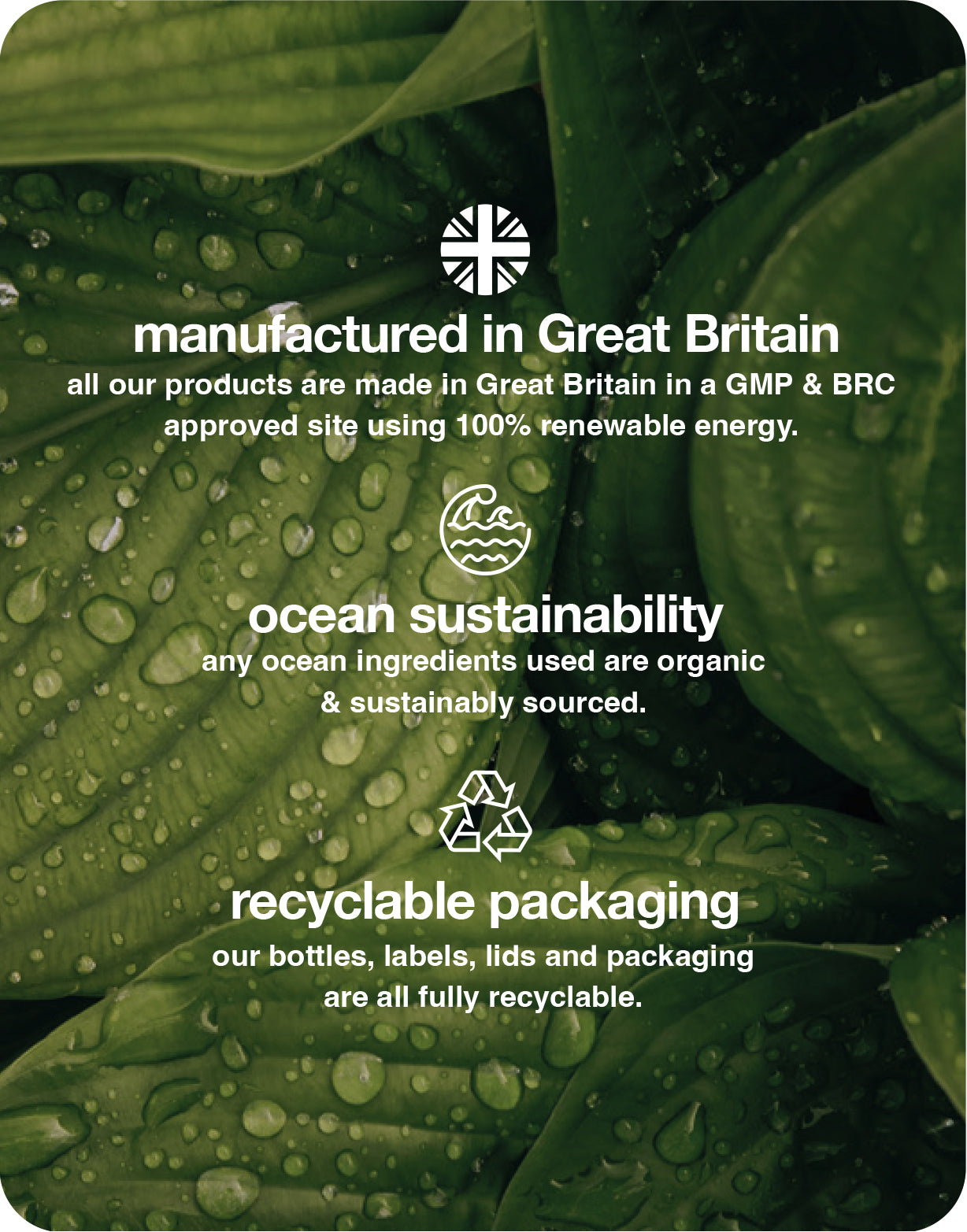 postmeno support gummies