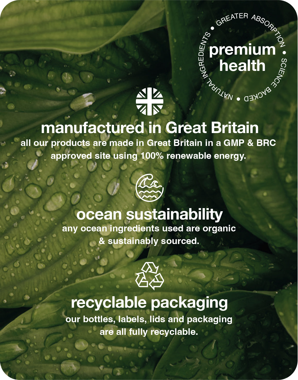 turmeric 3000mg gummies